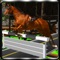 Horse Run Challenge - Adventure Racing and Riding Free Game 2016