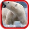 Polar Bear Hunt Pro