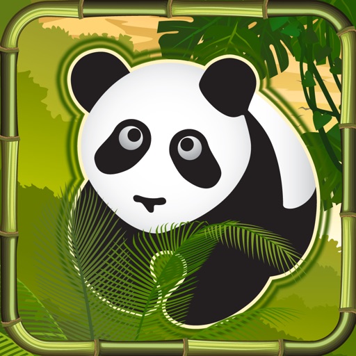 PandaToe Icon
