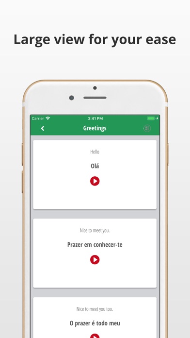 Learn Portuguese Language app screenshot 3