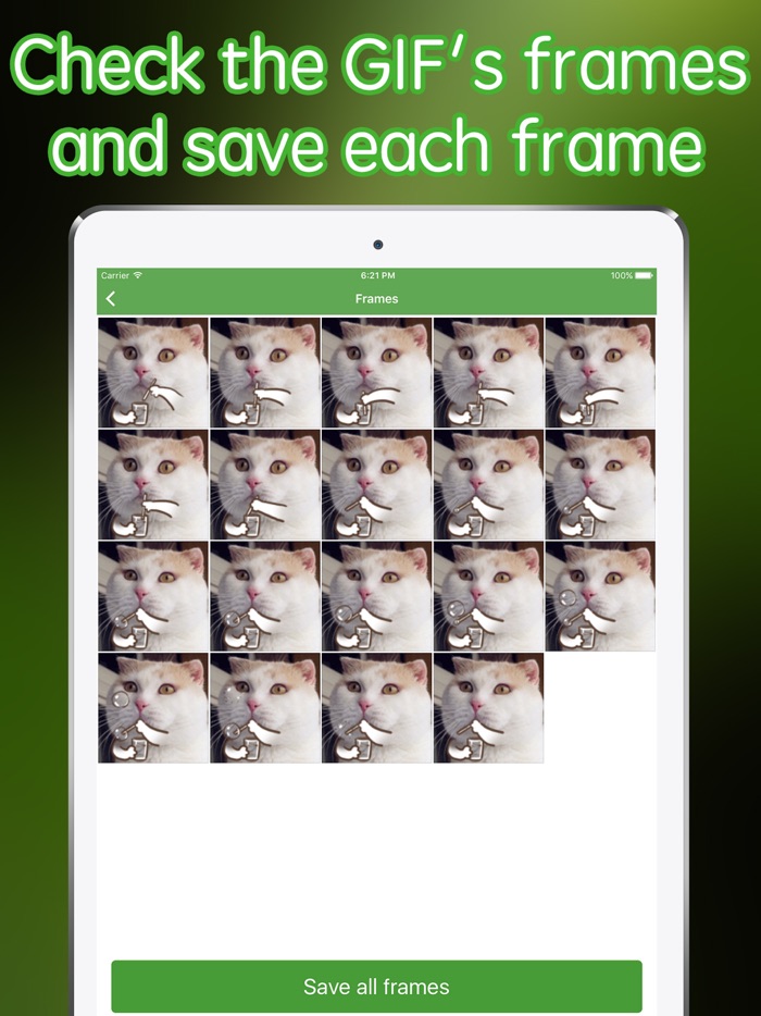 GIF Maker for Instagram- GIF to Video to Instagram