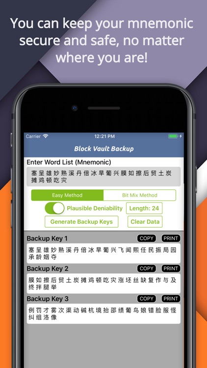 Block Vault Crypto Coin Backup screenshot-4
