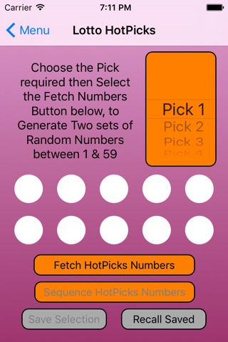 Lottery Selector screenshot 4