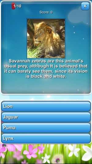 Big Brain Quiz ANIMALS(圖3)-速報App