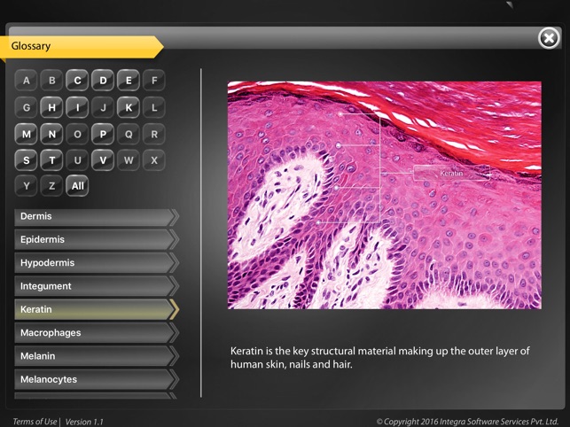 Human Anatomy Explorer - Integumentary System(圖4)-速報App