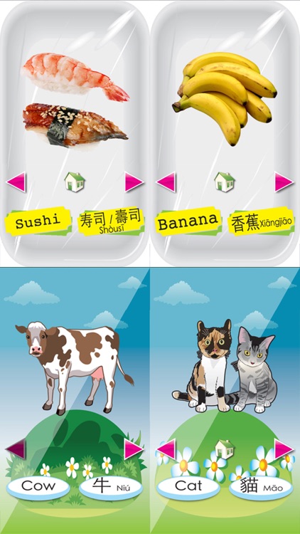 Baby School -(Chinese+English) Voice Flash Cards screenshot-4