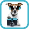 My Dog Camera: Snap, Organize & Share your favorite Dog photos!