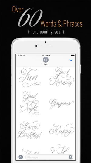 Elegant Messages Silver(圖2)-速報App