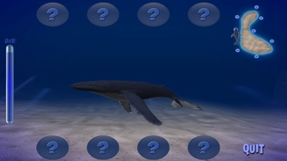 Humpback Whale Screenshot 5
