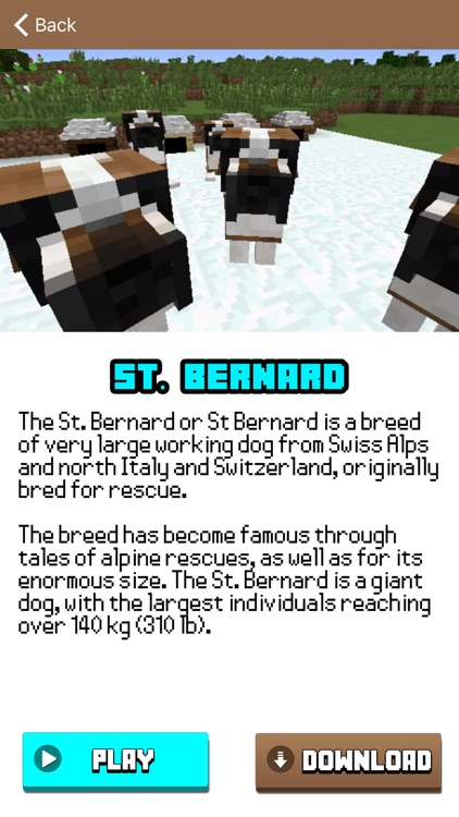 DOGs Pet Mods for Minecraft Game PC Guide Edition screenshot-3