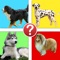 Dog Breeds Pic Quiz - Man’s Best Friend