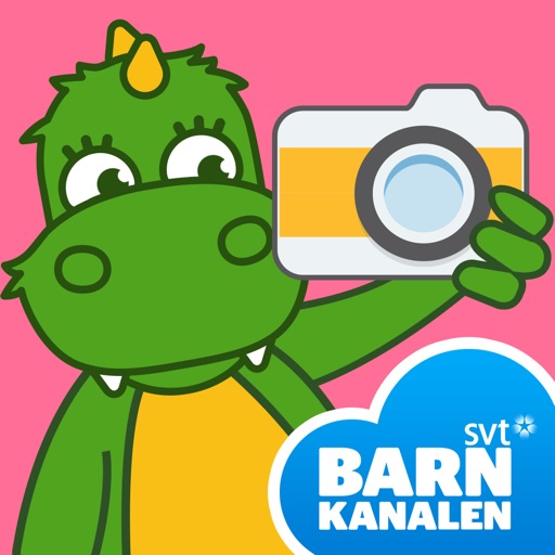 Boli Kamera Icon