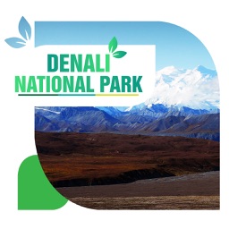 Denali National Park Travel Guide