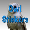 Cute Owl Stickers