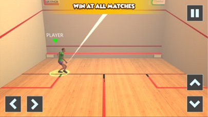 Squash 3D - Ball Sports Game screenshot 3