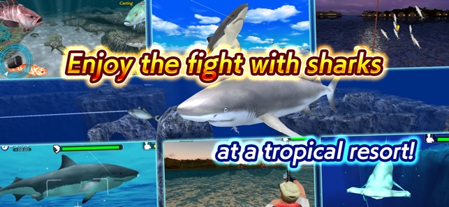 Wild Shark Fishing(圖4)-速報App