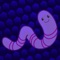 Crazy Snake Eat Color  - Worm for Fun Free Games