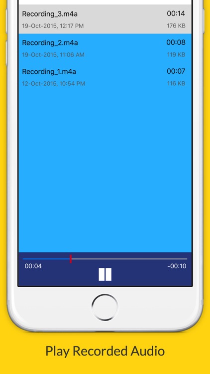 Voice Recorder: Premium Edition (Perfect For Recording Meetings, Lectures, Interviews etc.)