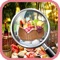 Free Hidden Objects:Picnic Time Hidden Objects