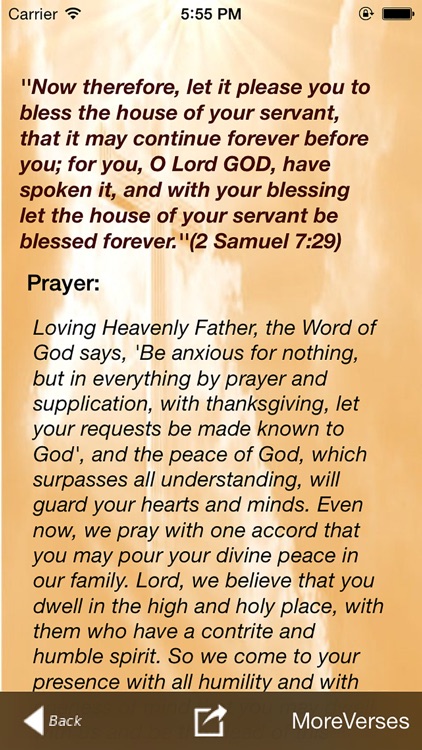 Promises & Prayers screenshot-4