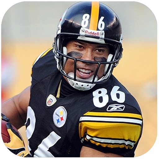 Hines Ward icon