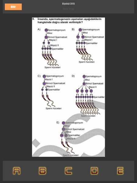 【图】LYS Soruları(截图3)