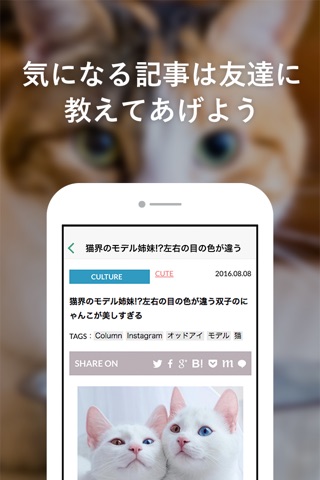 にゃんこGoGo - 猫好きによる猫好きのための写真満載ニュースアプリ screenshot 3