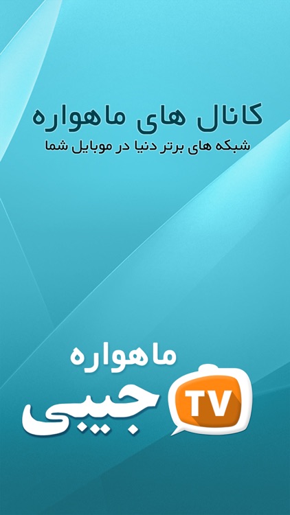ماهواره جیبی