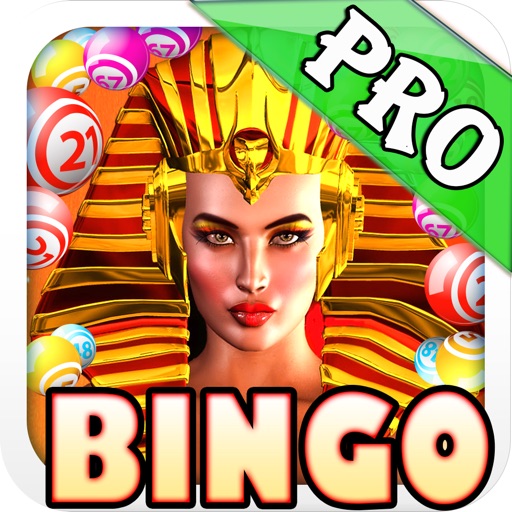 Pharaoh Bingo - Ace Las Vegas Big Win Treasure Bonanza of Fortune Pro iOS App