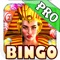 Pharaoh Bingo - Ace Las Vegas Big Win Treasure Bonanza of Fortune Pro