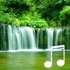 Water Sounds relaxation: Wilderness stream and healing sounds of flowing water