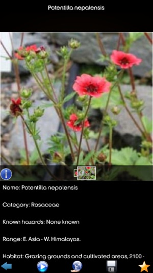 Medicinal Plants Encyclopedia(圖2)-速報App