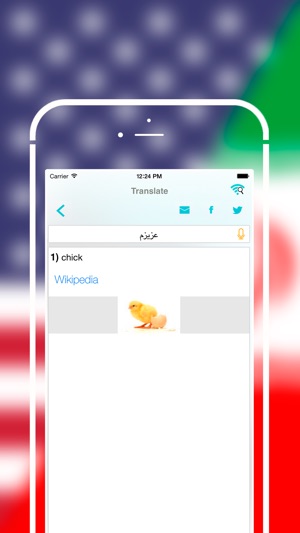 Offline Persian to English Language Dictionary Translator - (圖5)-速報App