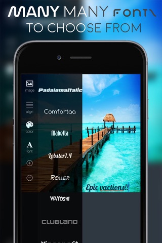 Fontz App: Add Captions, Love, Text, Quotes & Typography To Your Photos screenshot 2