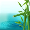 Bamboo Truyện