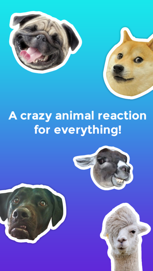 Crazy Animals! Funny animal reaction meme stickers(圖1)-速報App