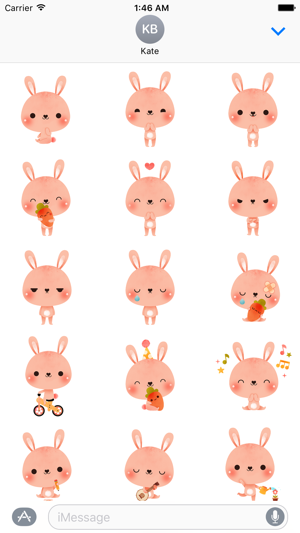 Pink Bunny Rabbit