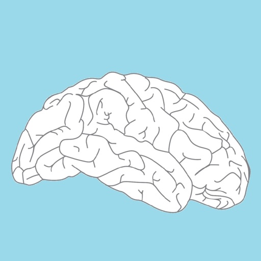 Cerebro y salud icon