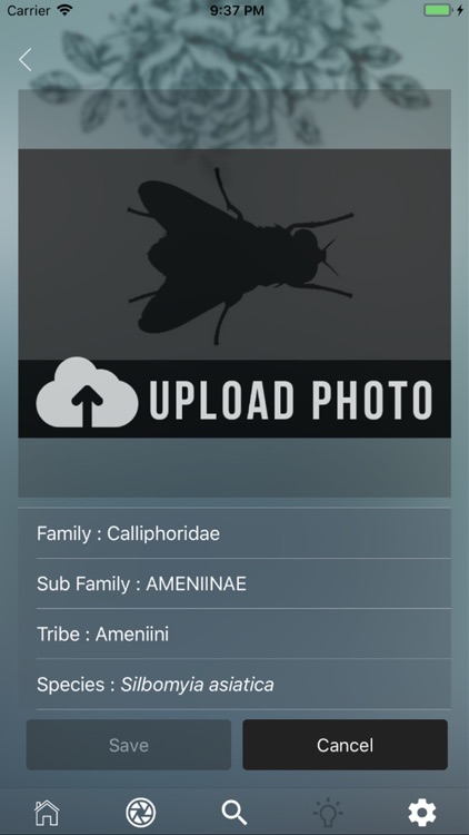 iParasites screenshot-4