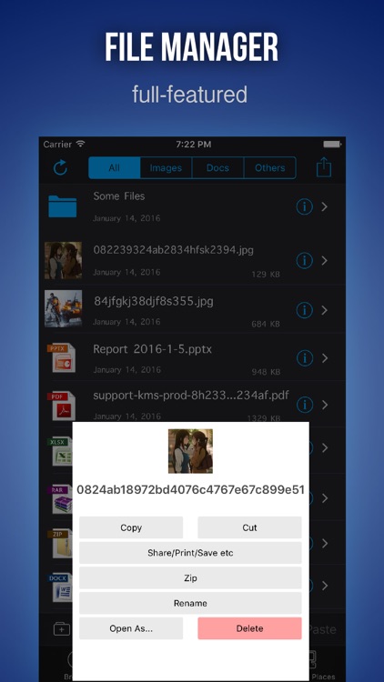 File Browser & Manager Pro for Web and Cloud