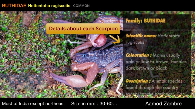 Indian Scorpions eGuide(圖3)-速報App