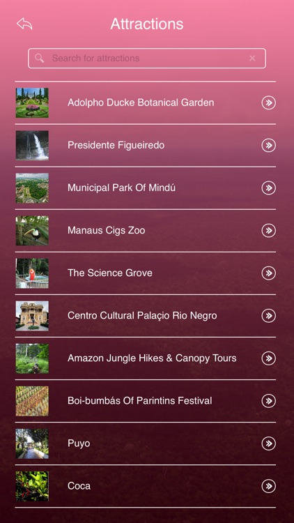 Amazon Rain Forest Travel Guide