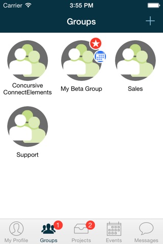 Connect Elements: Private groups and projects screenshot 2