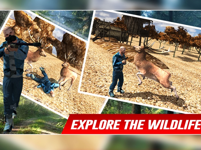 野生动物园鹿狩猎2016年 - 动物狙击第三人