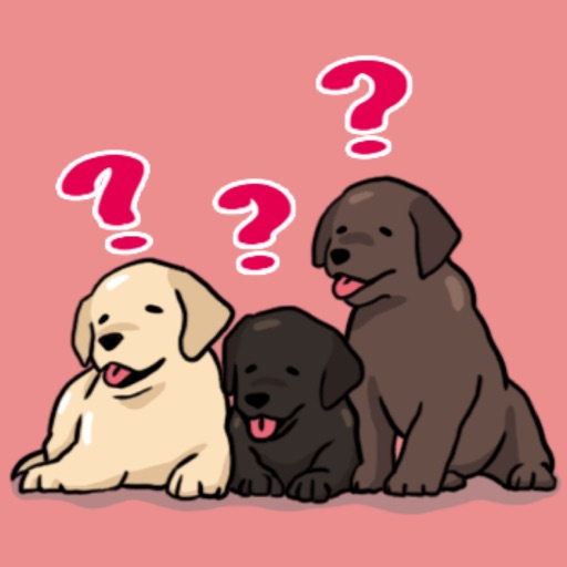Labrador Retriever Puppies icon