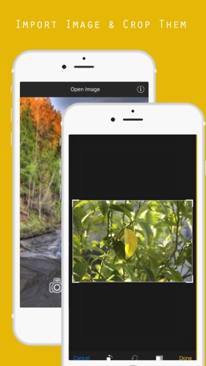 Photo Blur Background Editor Pro - Quick Blur(圖2)-速報App