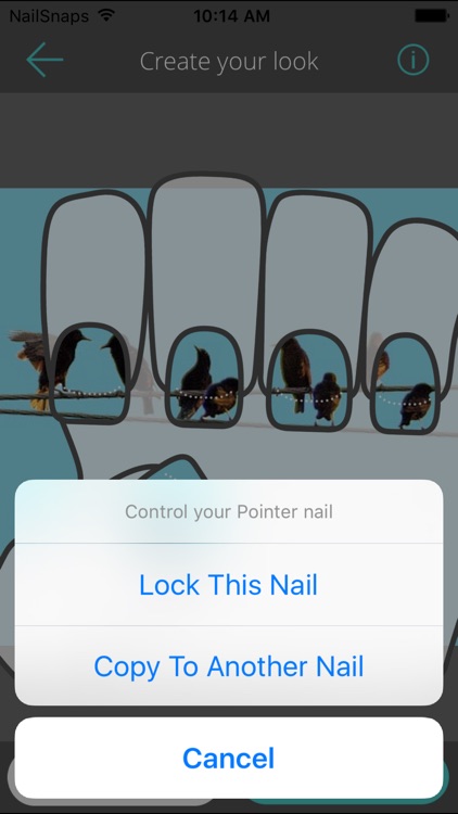 NailSnaps