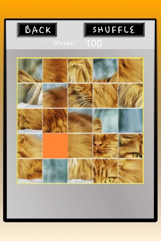 FUNSLIDE PUZZLE Free screenshot 4