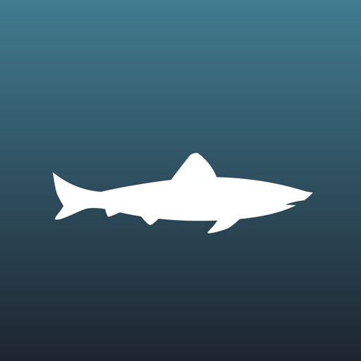 Nekton iOS App