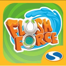 Activities of Flush Force